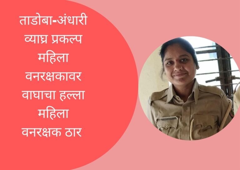 ताडोबा-अंधारी व्याघ्र प्रकल्प महिला वनरक्षकावर वाघाचा हल्ला