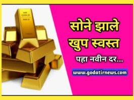 Gold Rate Today : सोनायच्या भावात झाले आज मोठे बदल, पहा काय आहे आजचे सोन्याचे नवीन दार