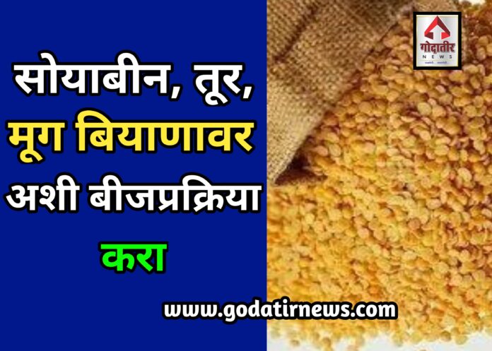 Seed Treatment : रोगाचा प्रादुर्भाव टाळण्यासाठी या बीजप्रक्रिया करा he title aahe