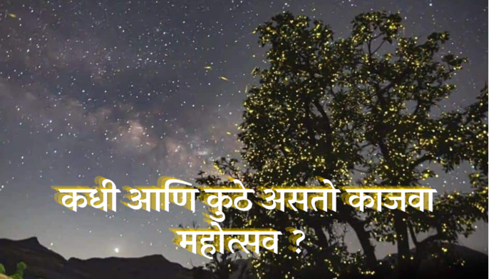  fireflies festival akole bhandardara