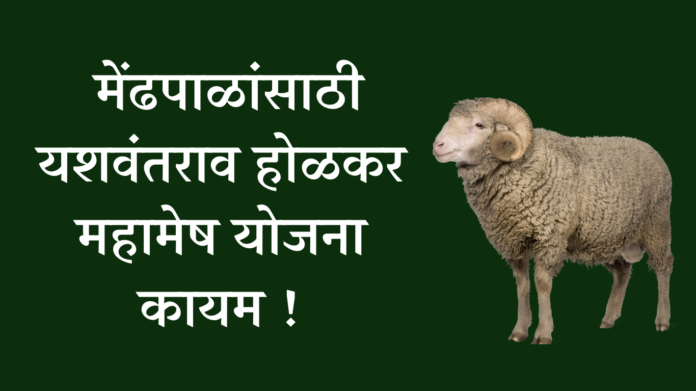 Yashwantrao Holkar Mahamesh scheme for shepherds continued