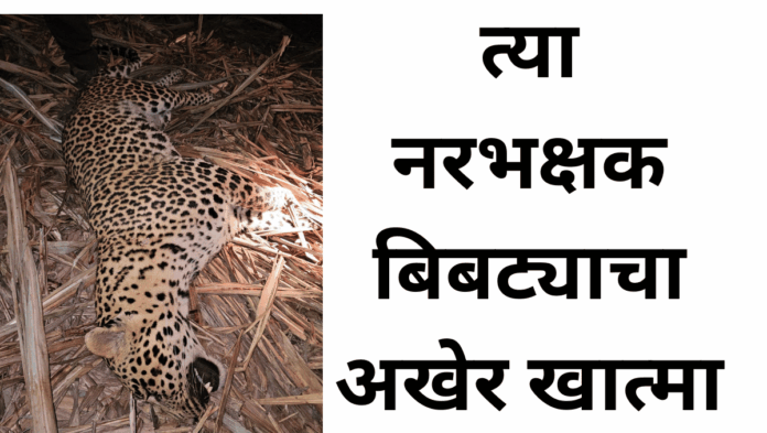 नरभक्षक बिबट्या