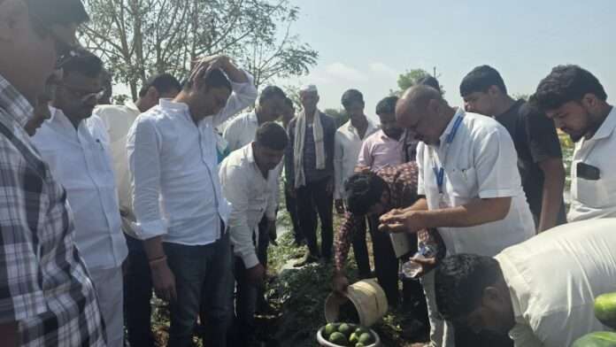 helistorm crop damage