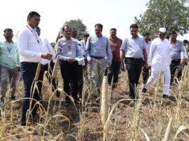 ahilyanagar centre Drought assessment team