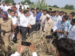 beed centre drought assessment team